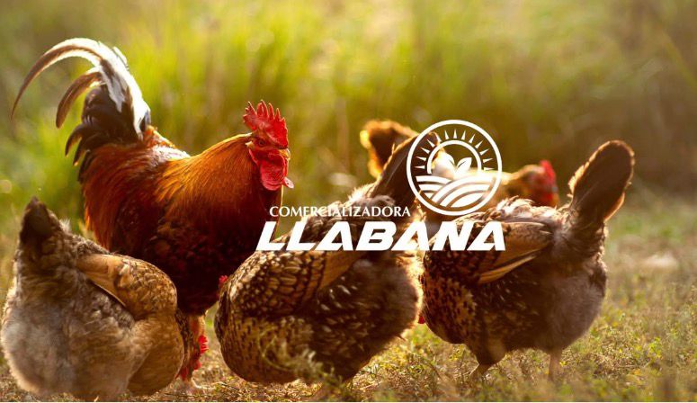 Testimonio Cliente LLabana Comercializadora